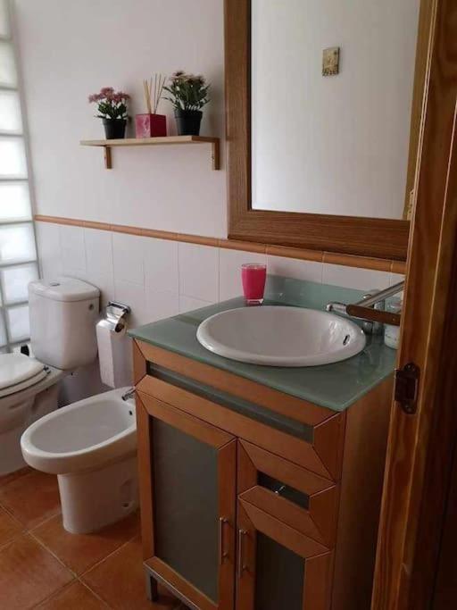 Casa Nora Villanúa Εξωτερικό φωτογραφία